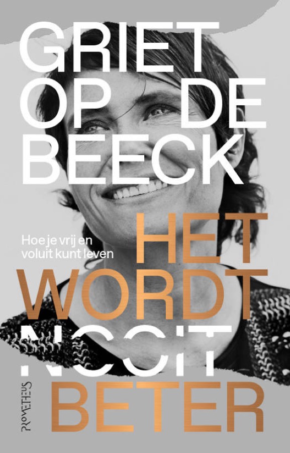 Boekomslag van Het wordt beter